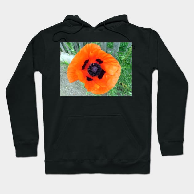 Big poppy flower Hoodie by Gourmetkater